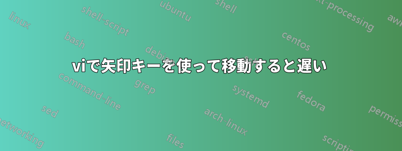 viで矢印キーを使って移動すると遅い