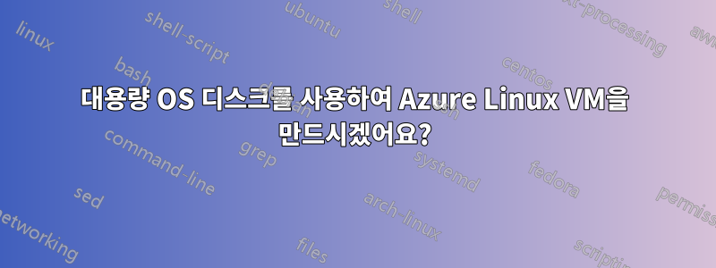 대용량 OS 디스크를 사용하여 Azure Linux VM을 만드시겠어요?