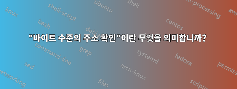 "바이트 수준의 주소 확인"이란 무엇을 의미합니까?