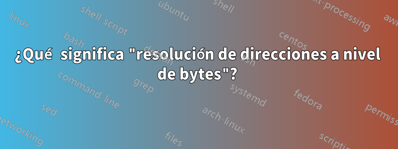 ¿Qué significa "resolución de direcciones a nivel de bytes"?