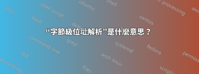 “字節級位址解析”是什麼意思？