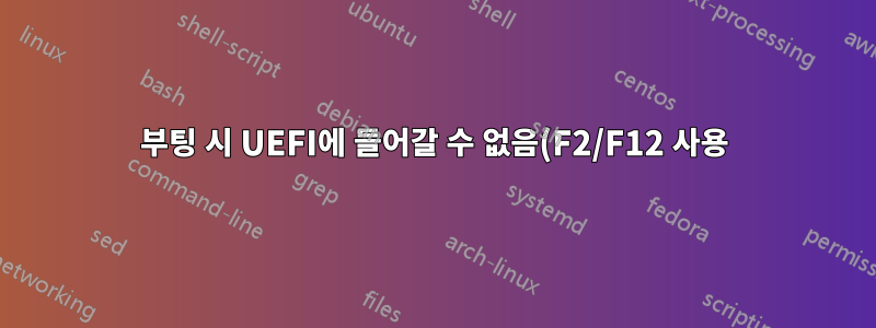 부팅 시 UEFI에 들어갈 수 없음(F2/F12 사용)
