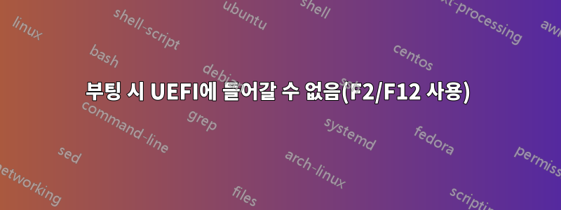 부팅 시 UEFI에 들어갈 수 없음(F2/F12 사용)