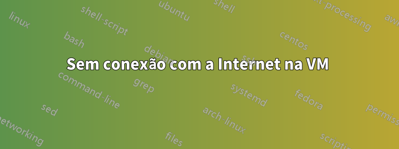 Sem conexão com a Internet na VM