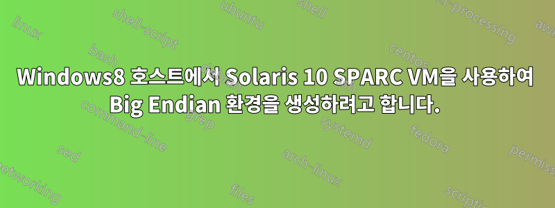 Windows8 호스트에서 Solaris 10 SPARC VM을 사용하여 Big Endian 환경을 생성하려고 합니다.