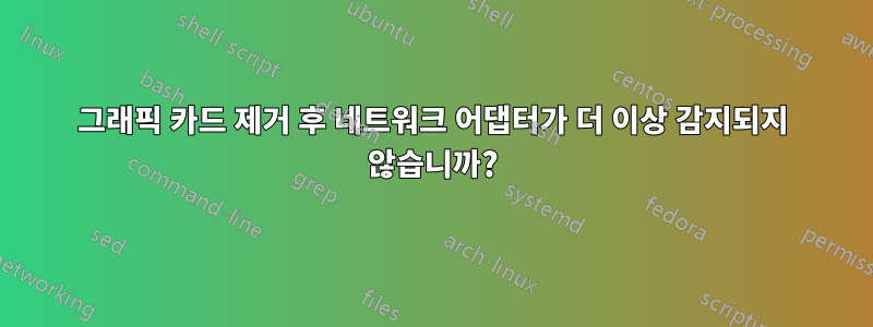 그래픽 카드 제거 후 네트워크 어댑터가 더 이상 감지되지 않습니까?