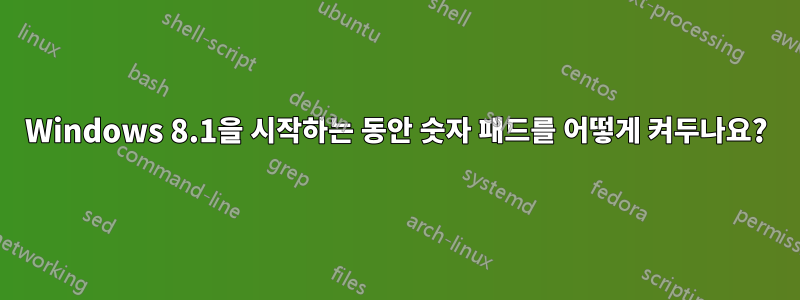 Windows 8.1을 시작하는 동안 숫자 패드를 어떻게 켜두나요?