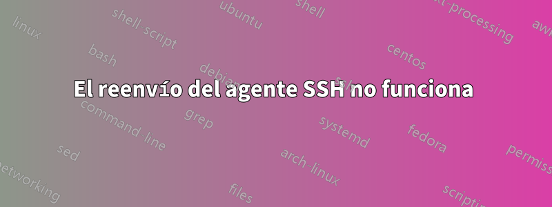 El reenvío del agente SSH no funciona