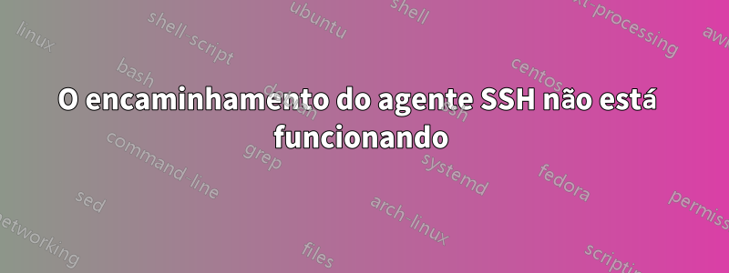 O encaminhamento do agente SSH não está funcionando