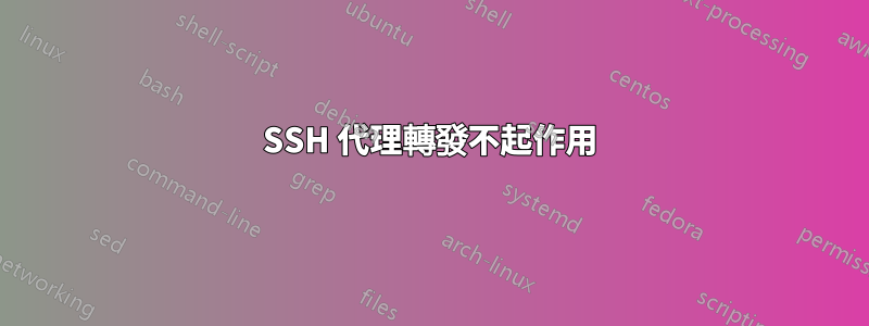 SSH 代理轉發不起作用