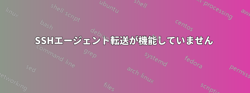 SSHエージェント転送が機能していません