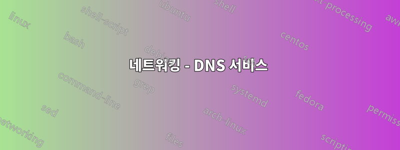 네트워킹 - DNS 서비스