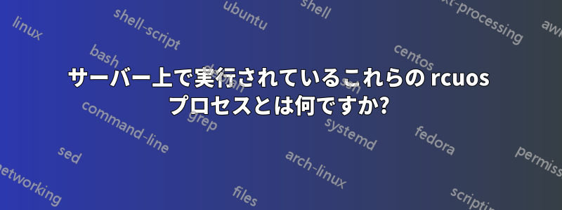 サーバー上で実行されているこれらの rcuos プロセスとは何ですか?