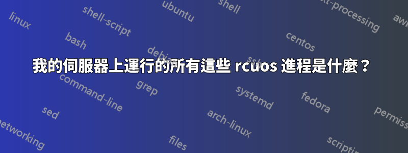 我的伺服器上運行的所有這些 rcuos 進程是什麼？