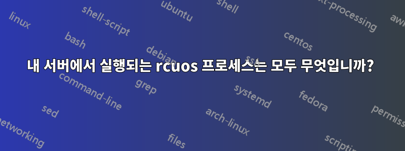 내 서버에서 실행되는 rcuos 프로세스는 모두 무엇입니까?