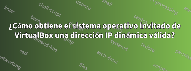 ¿Cómo obtiene el sistema operativo invitado de VirtualBox una dirección IP dinámica válida?