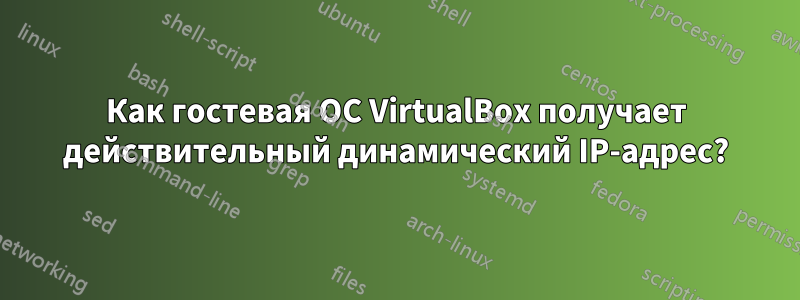 Как гостевая ОС VirtualBox получает действительный динамический IP-адрес?