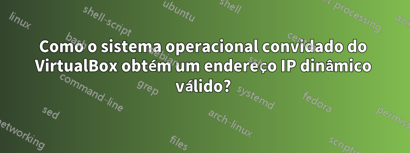 Como o sistema operacional convidado do VirtualBox obtém um endereço IP dinâmico válido?