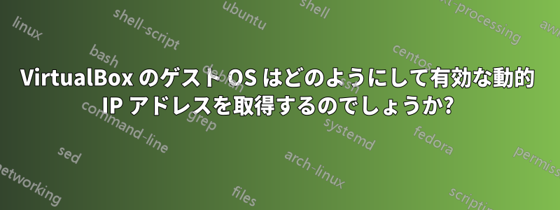 VirtualBox のゲスト OS はどのようにして有効な動的 IP アドレスを取得するのでしょうか?