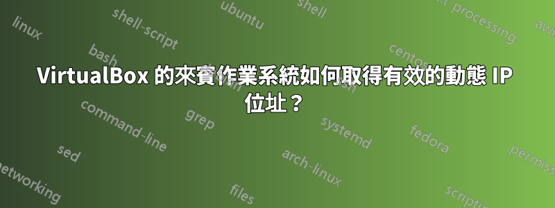 VirtualBox 的來賓作業系統如何取得有效的動態 IP 位址？