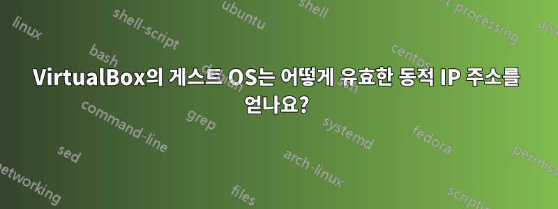 VirtualBox의 게스트 OS는 어떻게 유효한 동적 IP 주소를 얻나요?