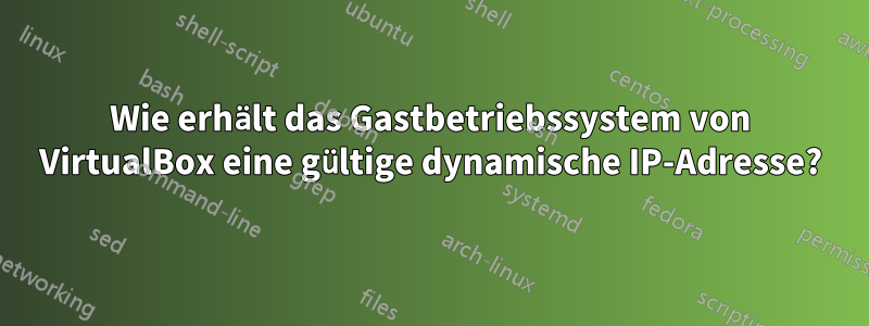 Wie erhält das Gastbetriebssystem von VirtualBox eine gültige dynamische IP-Adresse?