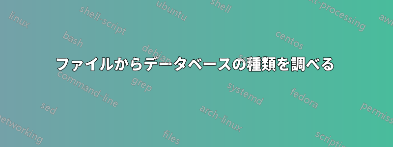 ファイルからデータベースの種類を調べる