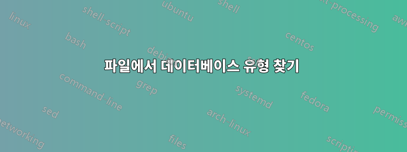 파일에서 데이터베이스 유형 찾기