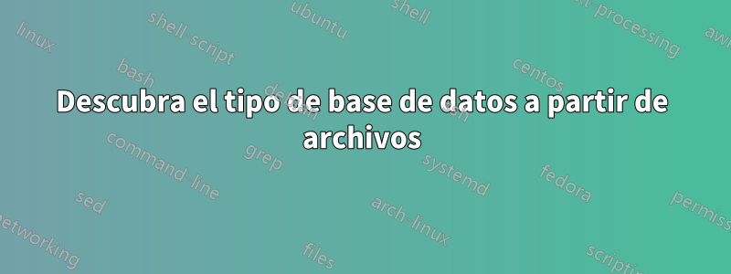 Descubra el tipo de base de datos a partir de archivos