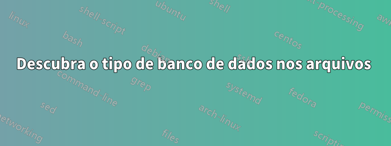 Descubra o tipo de banco de dados nos arquivos