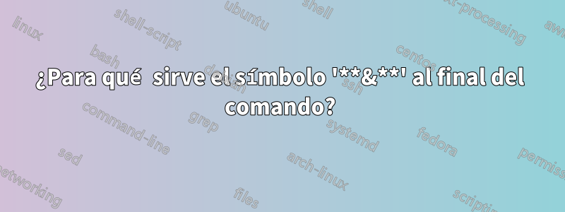 ¿Para qué sirve el símbolo '**&**' al final del comando?