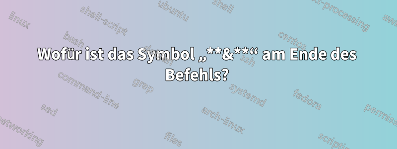 Wofür ist das Symbol „**&**“ am Ende des Befehls?