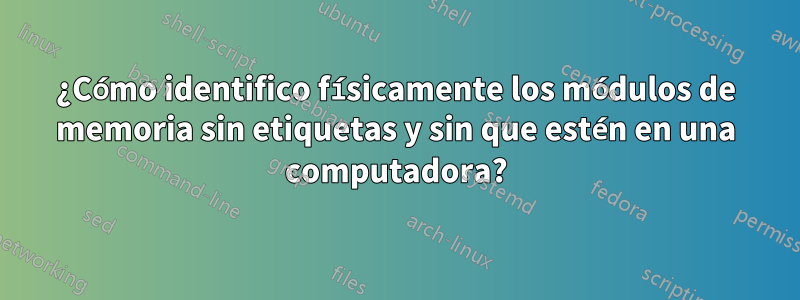 ¿Cómo identifico físicamente los módulos de memoria sin etiquetas y sin que estén en una computadora?