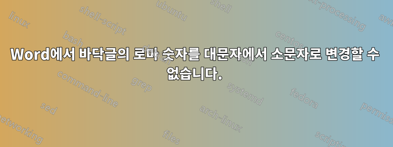 Word에서 바닥글의 로마 숫자를 대문자에서 소문자로 변경할 수 없습니다.