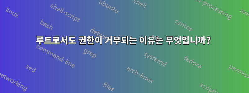 루트로서도 권한이 거부되는 이유는 무엇입니까?