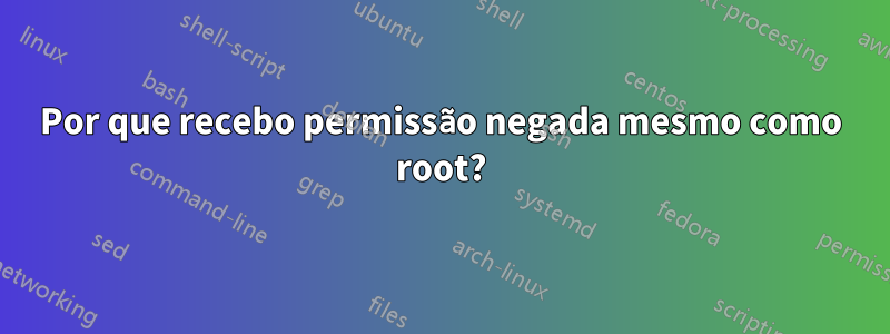 Por que recebo permissão negada mesmo como root?