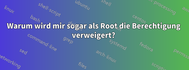 Warum wird mir sogar als Root die Berechtigung verweigert?