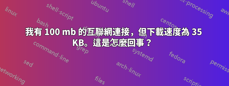 我有 100 mb 的互聯網連接，但下載速度為 35 KB。這是怎麼回事？ 