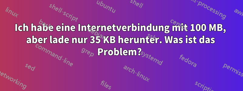 Ich habe eine Internetverbindung mit 100 MB, aber lade nur 35 KB herunter. Was ist das Problem? 