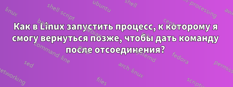 Как в Linux запустить процесс, к которому я смогу вернуться позже, чтобы дать команду после отсоединения?