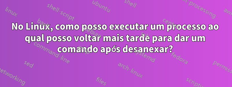 No Linux, como posso executar um processo ao qual posso voltar mais tarde para dar um comando após desanexar?