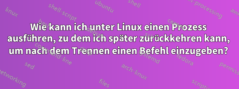 Wie kann ich unter Linux einen Prozess ausführen, zu dem ich später zurückkehren kann, um nach dem Trennen einen Befehl einzugeben?