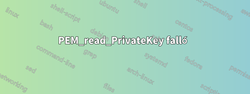 PEM_read_PrivateKey falló