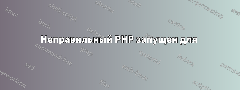 Неправильный PHP запущен для