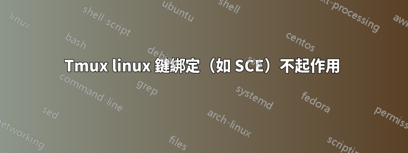 Tmux linux 鍵綁定（如 SCE）不起作用