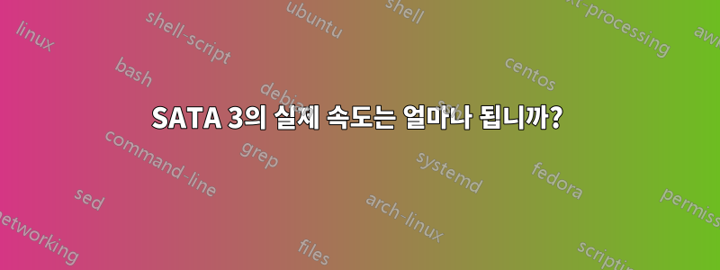 SATA 3의 실제 속도는 얼마나 됩니까?