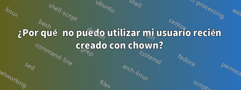 ¿Por qué no puedo utilizar mi usuario recién creado con chown?