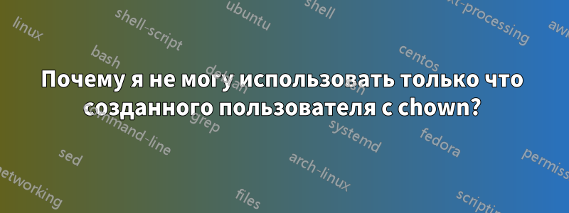 Почему я не могу использовать только что созданного пользователя с chown?