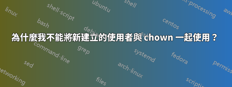 為什麼我不能將新建立的使用者與 chown 一起使用？