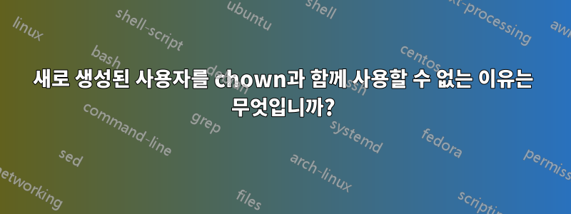 새로 생성된 사용자를 chown과 함께 사용할 수 없는 이유는 무엇입니까?